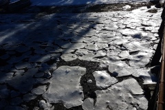20170305_115724