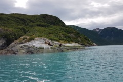 20170729_092646