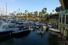 received_1688330537874954